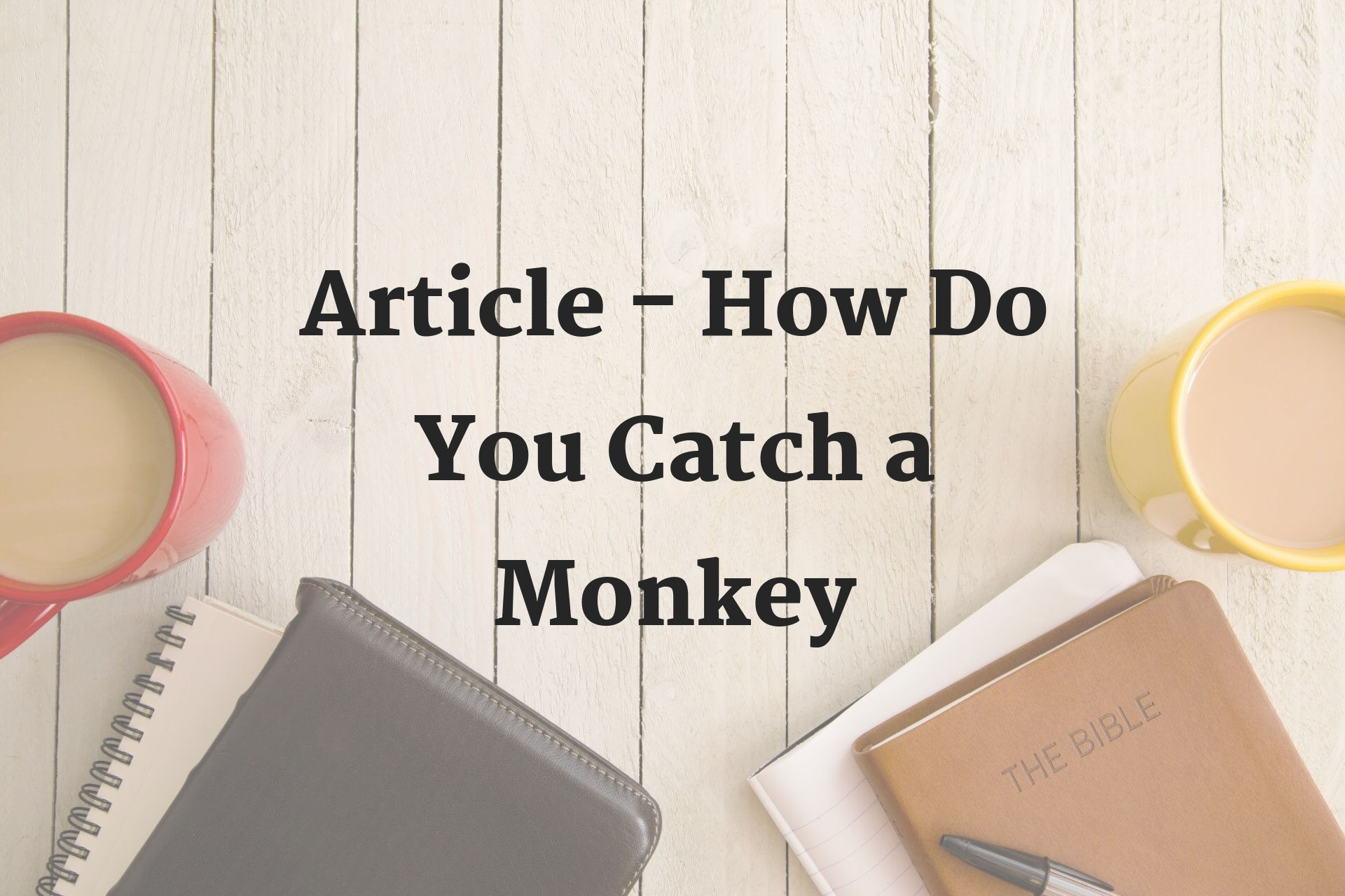 Featured image for “Article – How Do You Catch a Monkey”